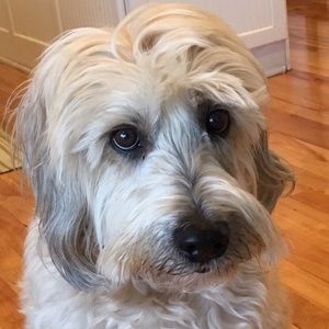 Meet your Posher, Sherry