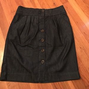 Anthropologie (Pilcro and the Letterpress) skirt