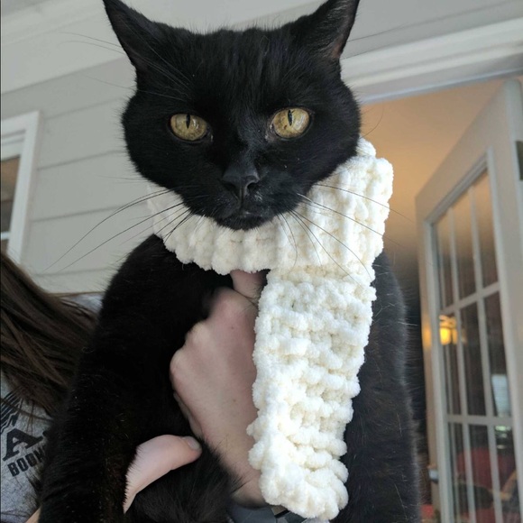 Meet your Posher, Alison - Picture 1 of 1