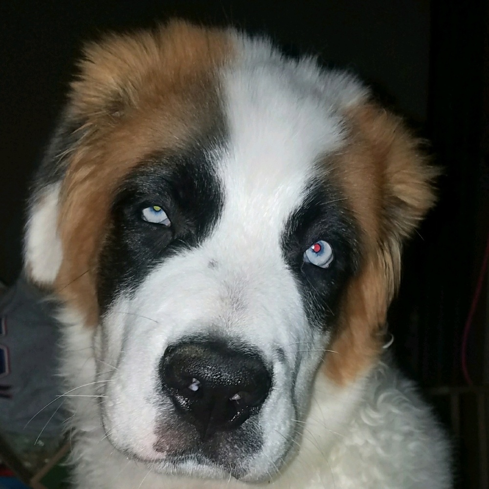 Meet your Posher, Stacie