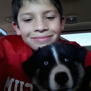 Meet your Posher, Antonio