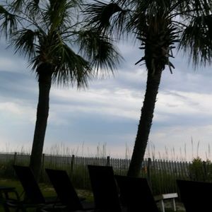 Meet your Posher, Jeannette