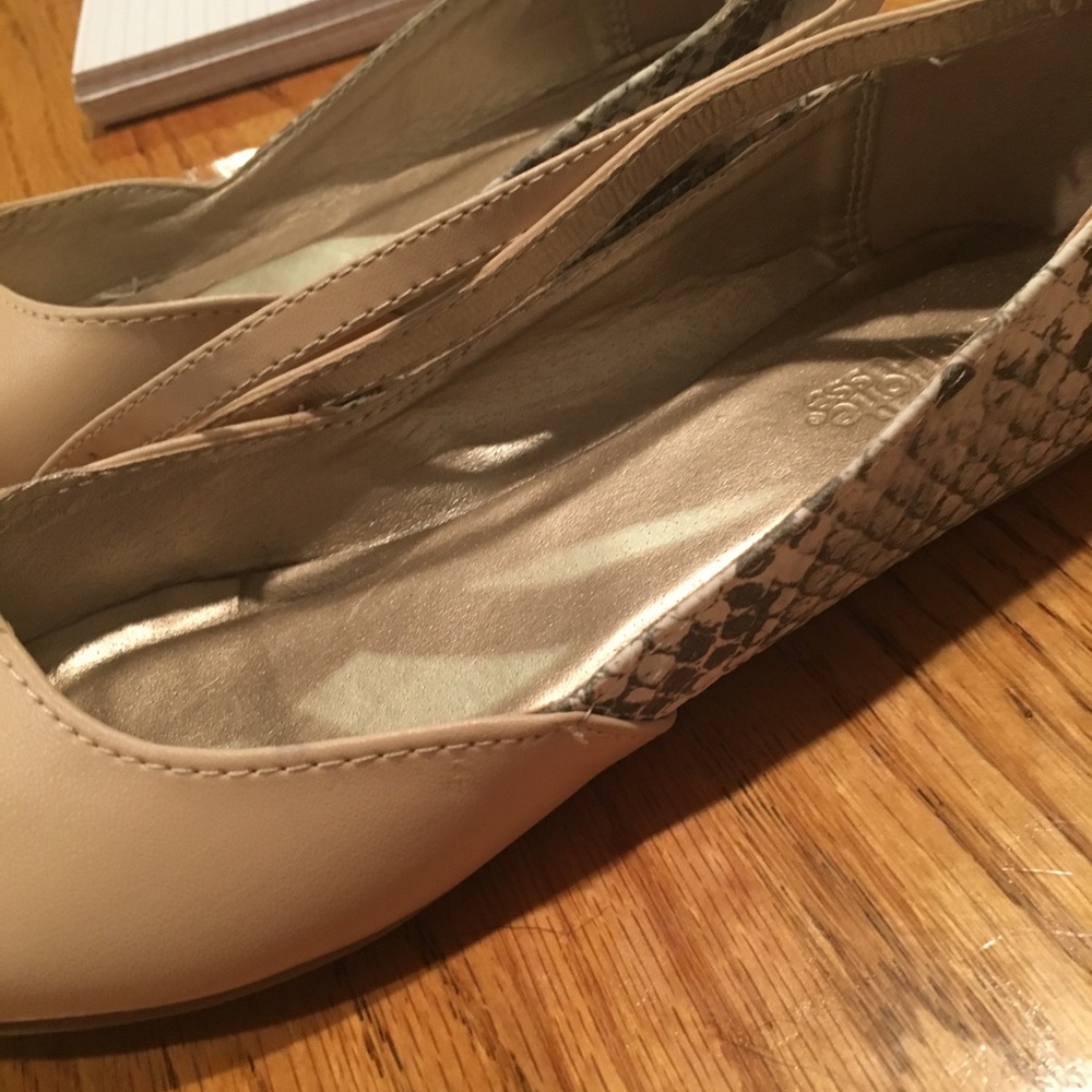 Pointed Toe Flats - Picture 2 of 2
