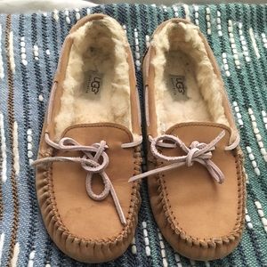Ugg slipper women's