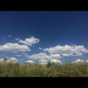 Meet your Posher, Jaime