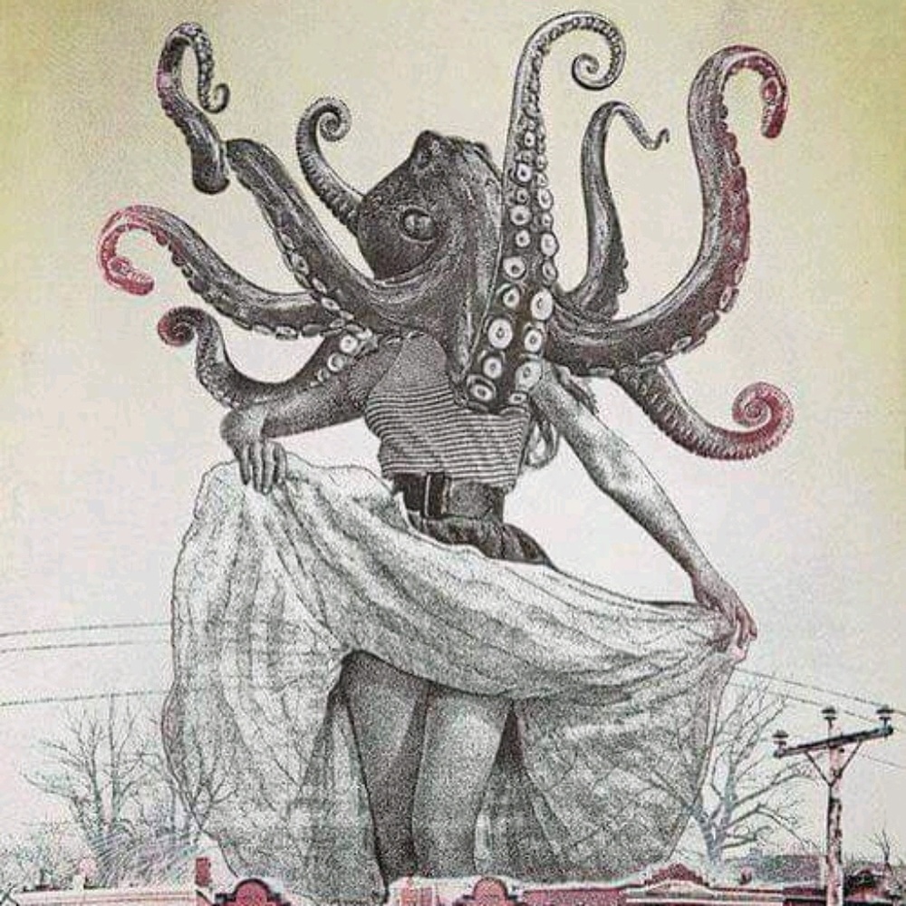 Meet your Posher, Ariane