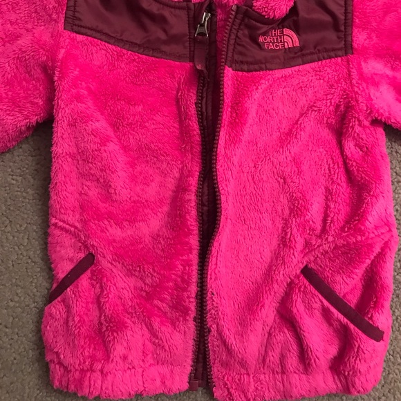EUC The North Face Toddler Oso Jacket 4t - Picture 2 of 5