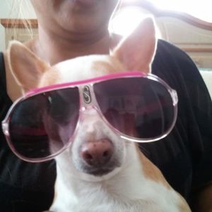 Meet your Posher, Cecelia