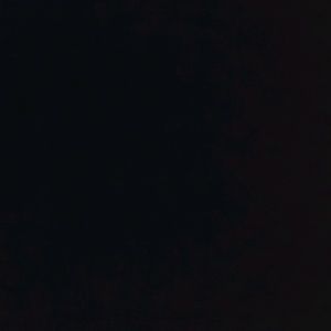 Meet your Posher, Bailey