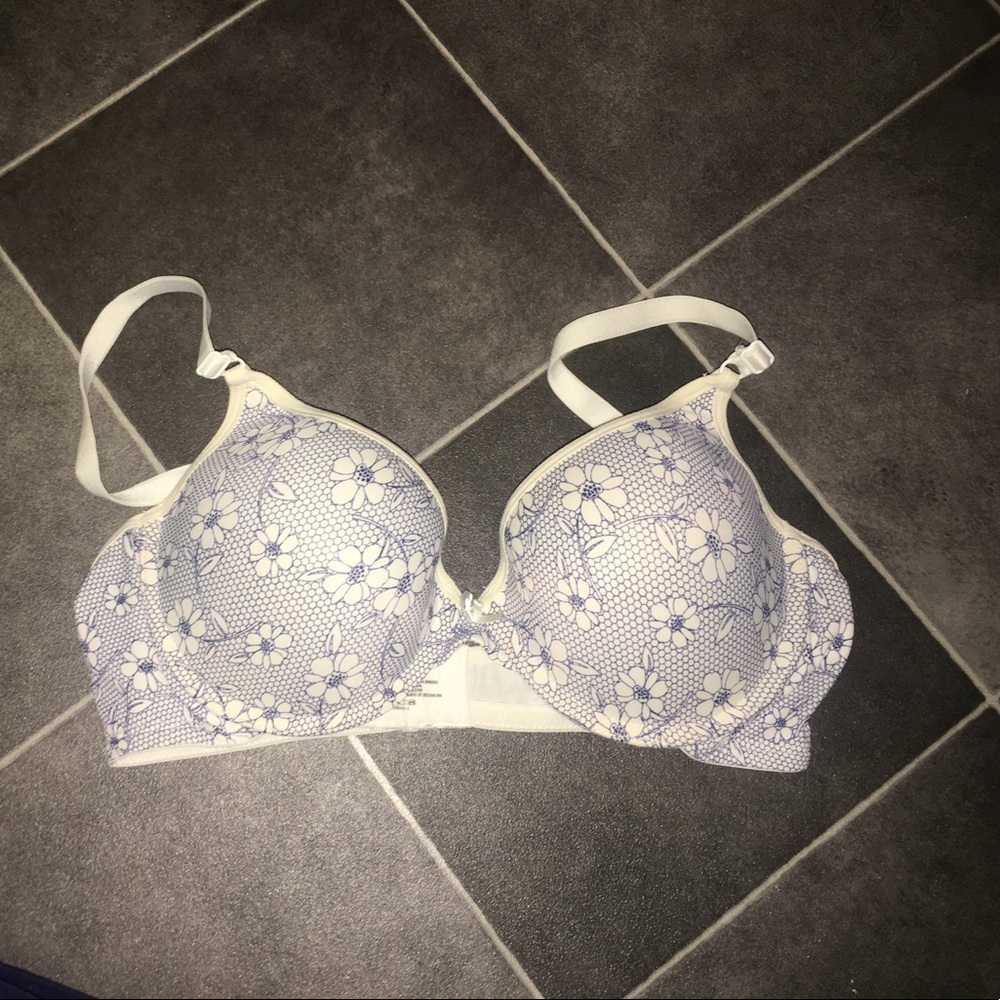 beautiful blue and white push up bra