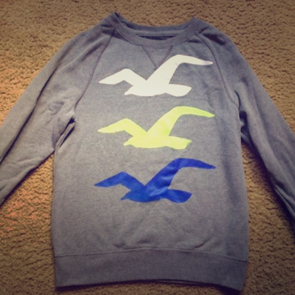 HOLLISTER CREW NECK