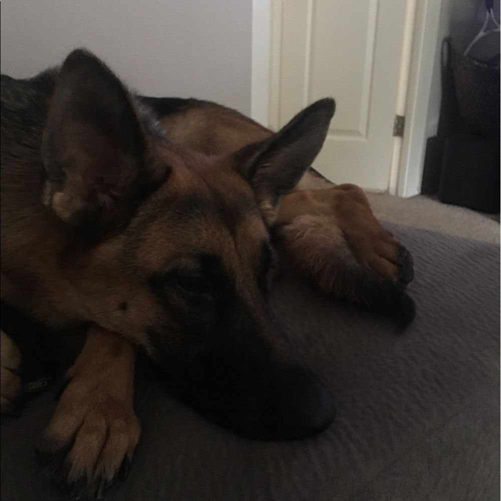 Meet your Posher, Ana