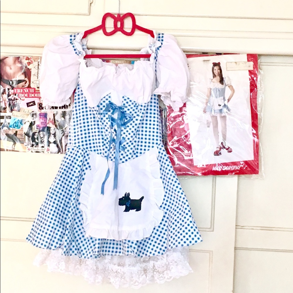 Teen Miss Dorothy costume- brand new never worn