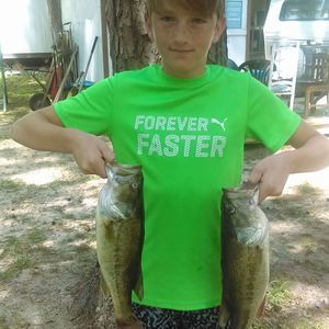 Meet your Posher, Chase