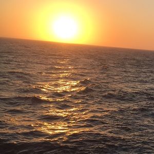 Meet your Posher, Nathan