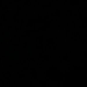 Meet your Posher, Danny