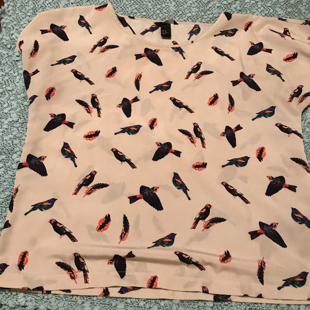 H&M Shell