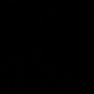 Meet your Posher, Angelo