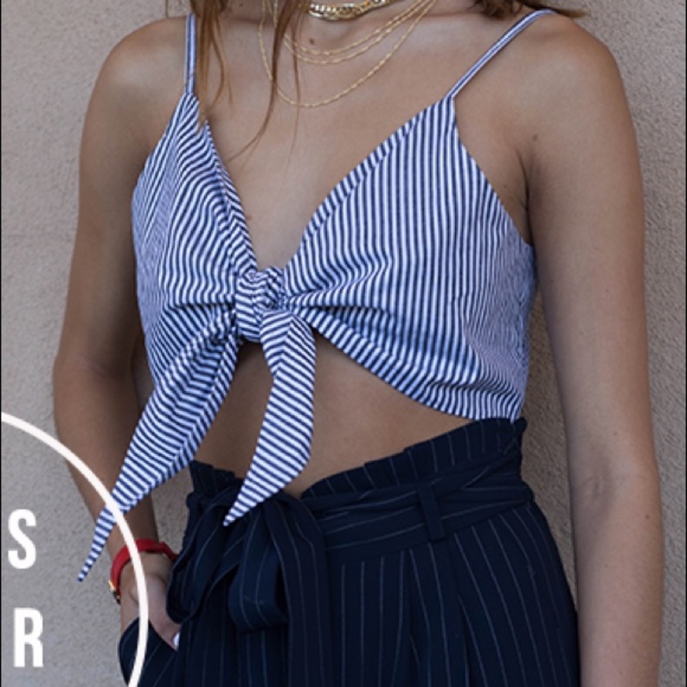 Vagabond Striped Crop Top