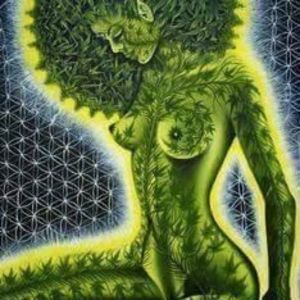 Meet your Posher, Dora