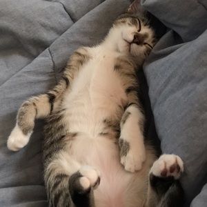 Meet your Posher, Annie