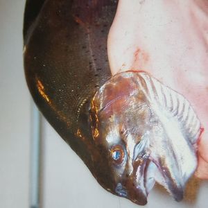 Meet your Posher, Zach