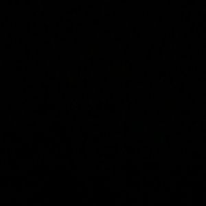 Meet your Posher, Miguel