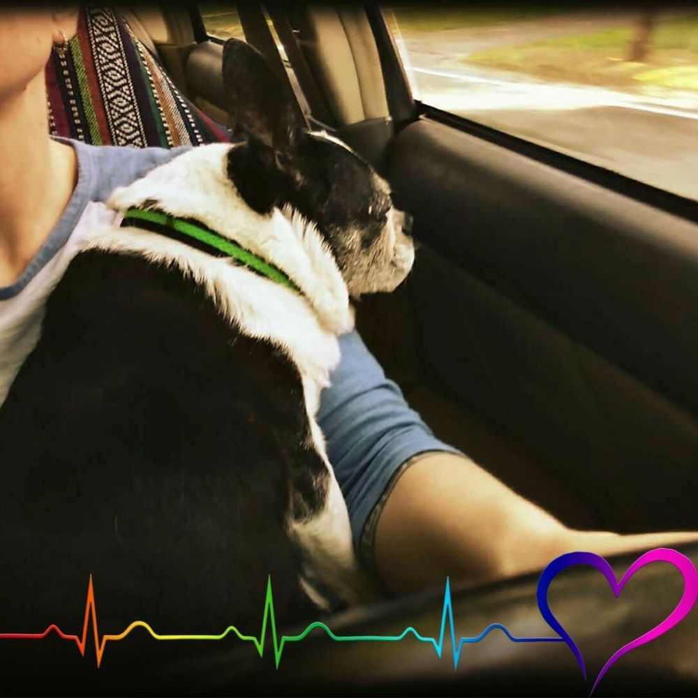 Meet your Posher, Kristen