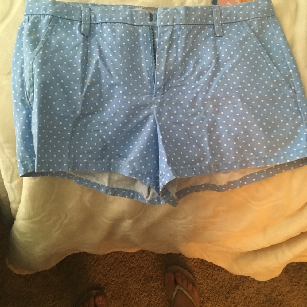 Adorable Blue and White Polka Dot Shorts