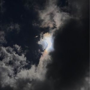 Meet your Posher, Sandy