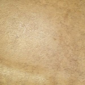 Meet your Posher, Diamond