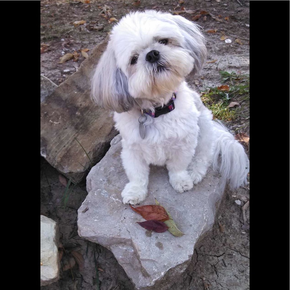 Meet your Posher, Kathryn