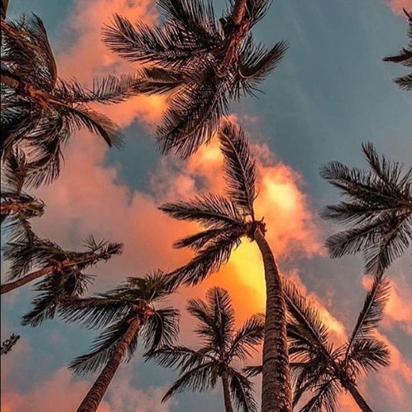 Meet your Posher, Diamond - Picture 1 of 1