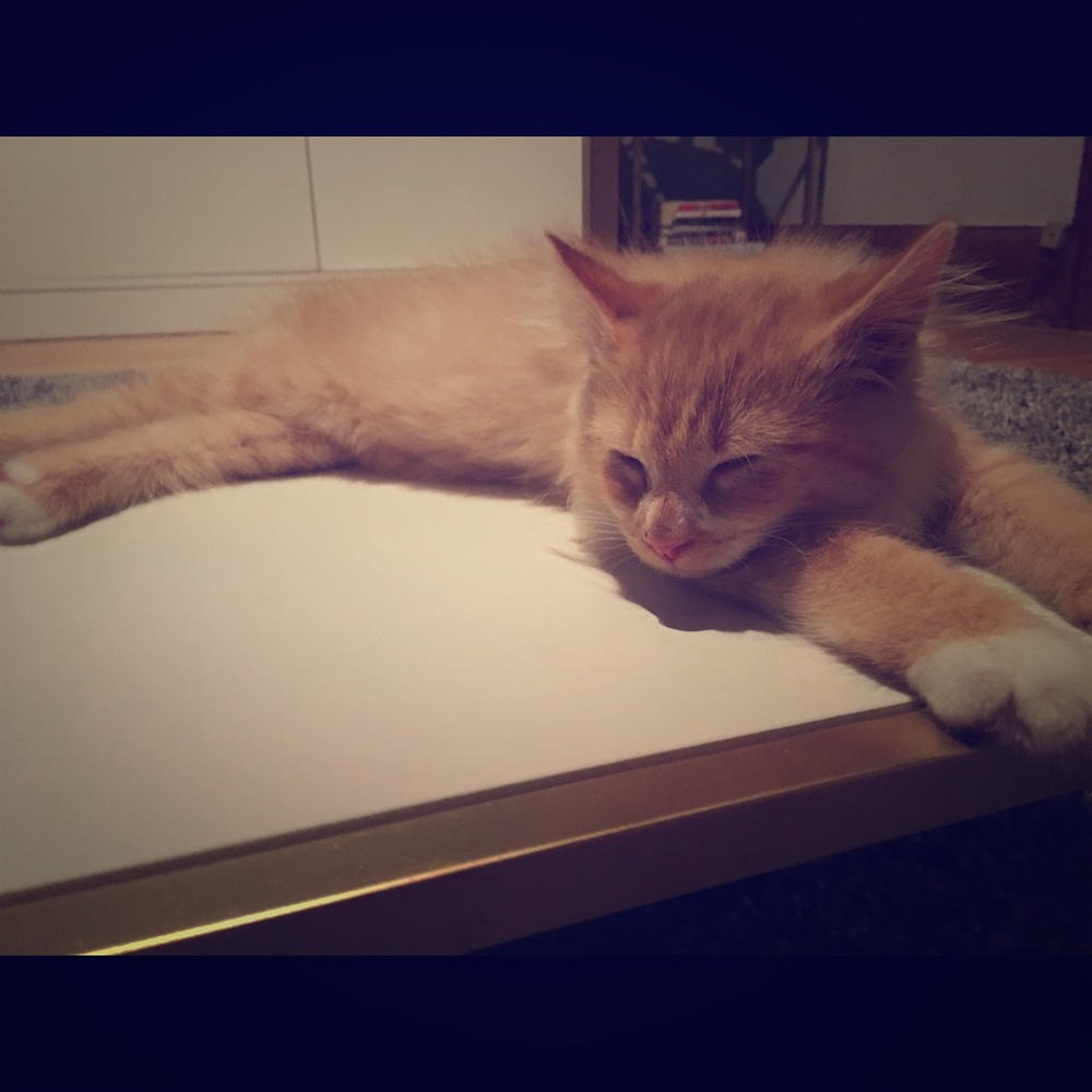 Bundle 2 or more items for 15% off 💄🐩🍦🍾🎀