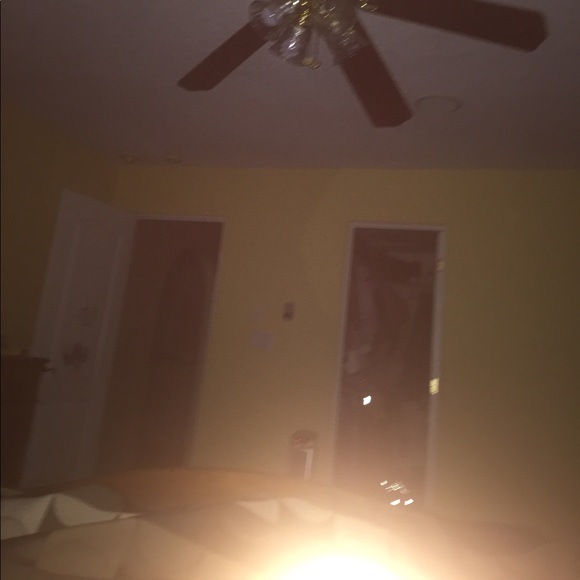 Meet your Posher, Elayne - Picture 1 of 1