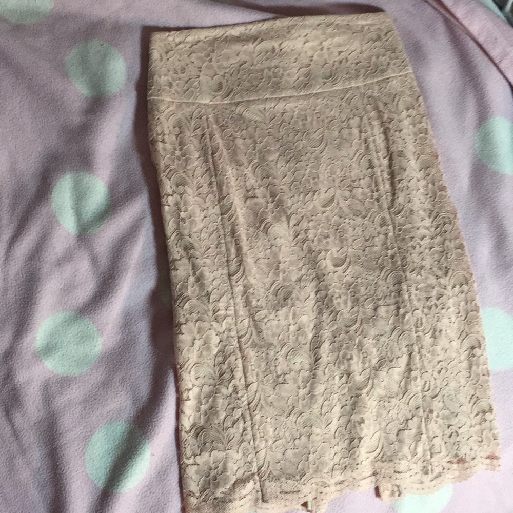 NWT!! Blush pink high waisted lace skirt