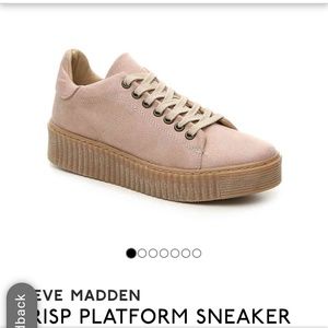 Steve Madden Crisp Platform Sneaker