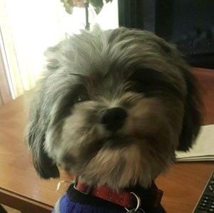 Meet your Posher, Leticia