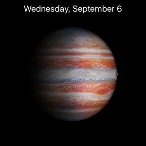 Meet your Posher, Garrett