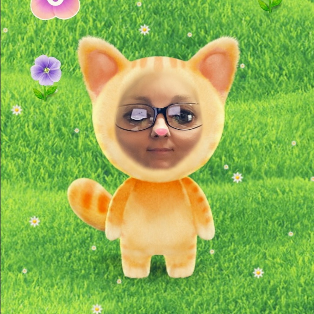 Meet your Posher, Missy