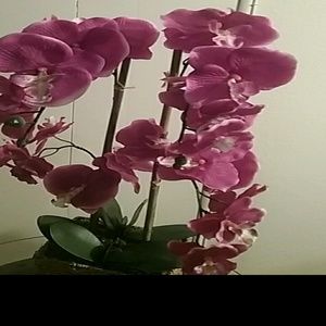 Meet your Posher, Carmen