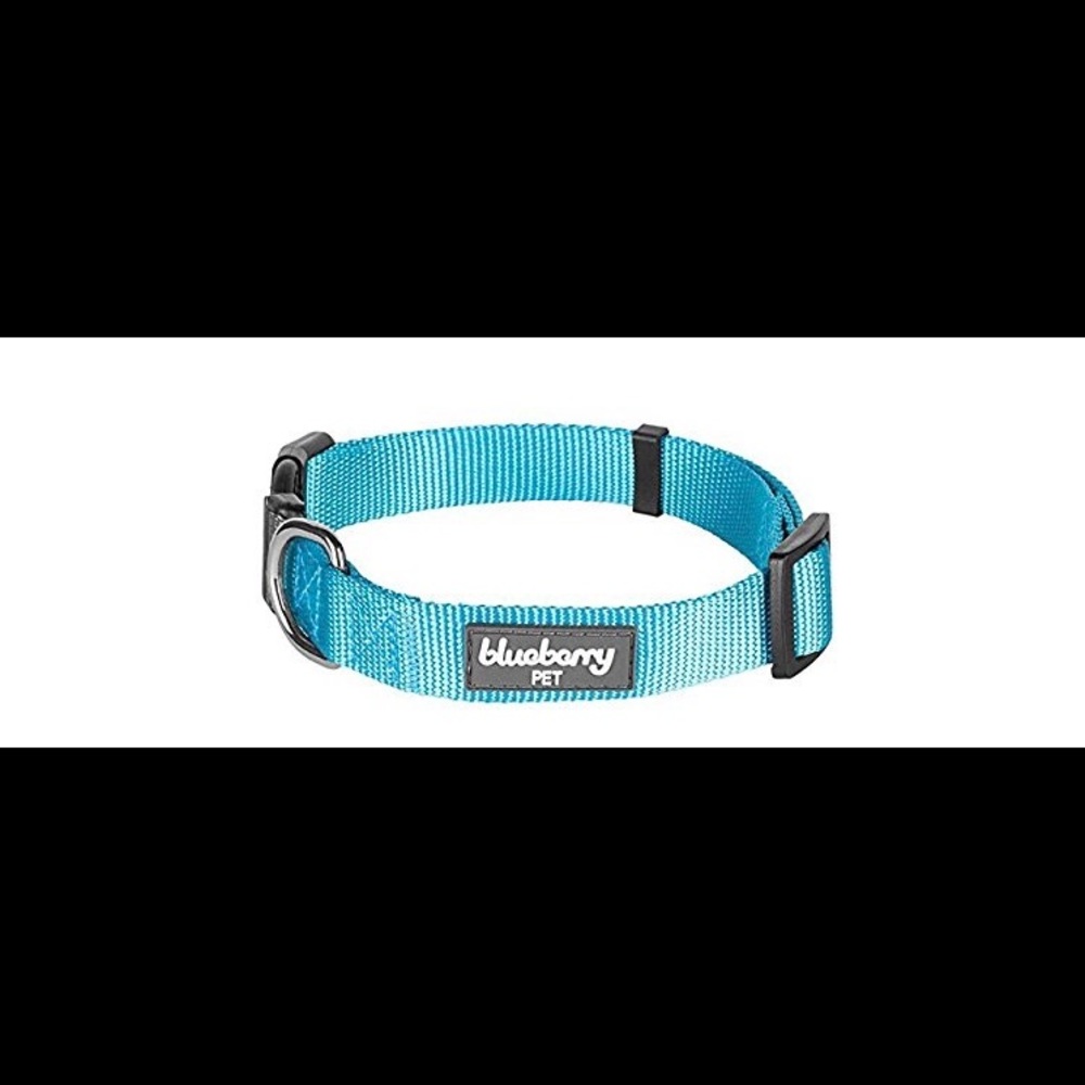 Turquoise XS dog collar