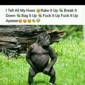 Meet your Posher, Anayah