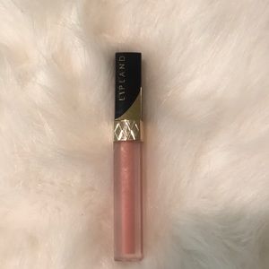 Lipland cosmetics liquid lip in Rezy