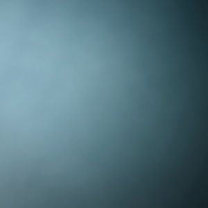 Meet your Posher, Gavin