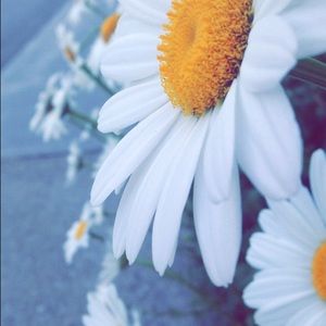 Meet your Posher, Caroline