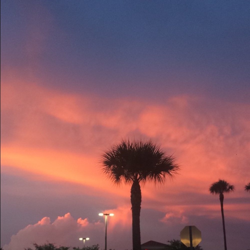 Meet your Posher, Sid