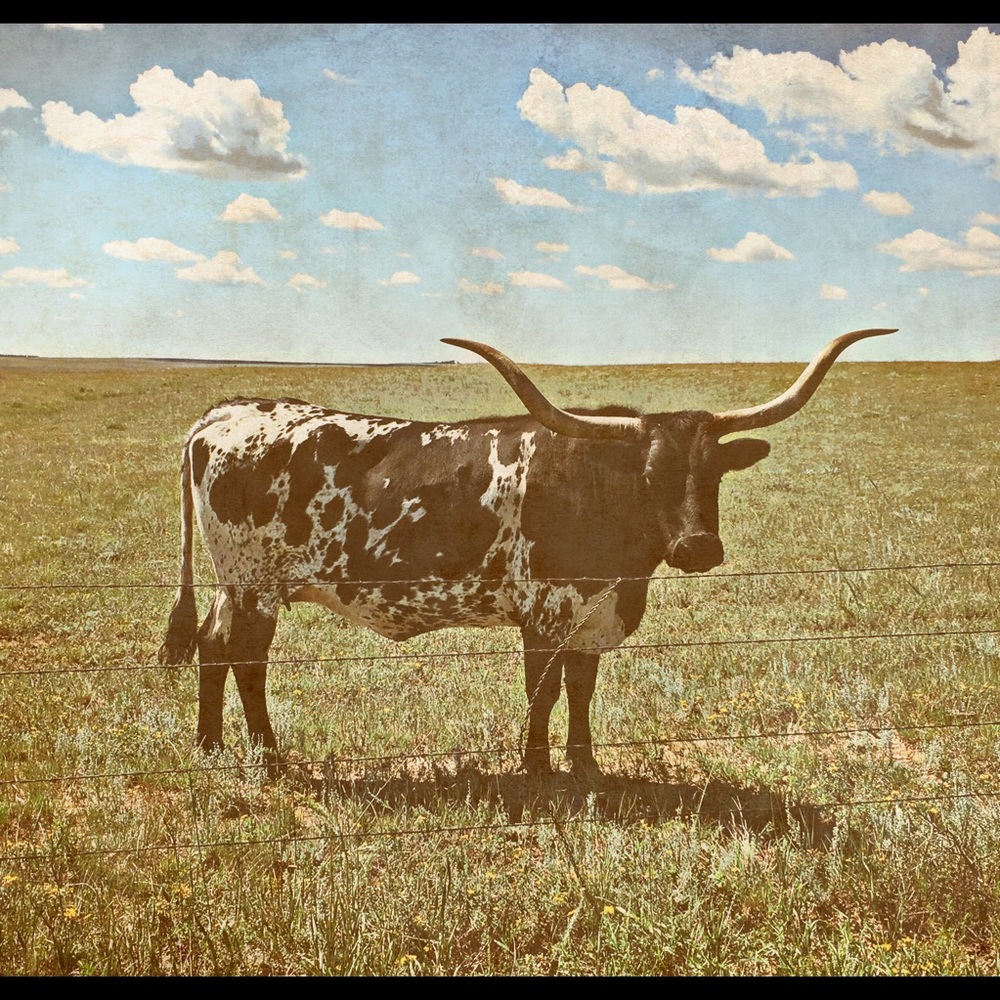 Meet your Posher, Nicki