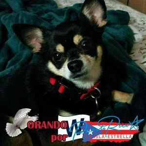 Meet your Posher, Sally