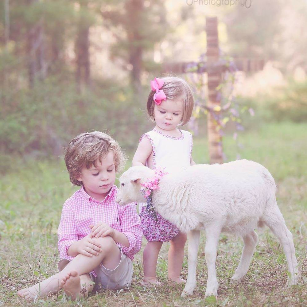 Meet your Posher, Darla